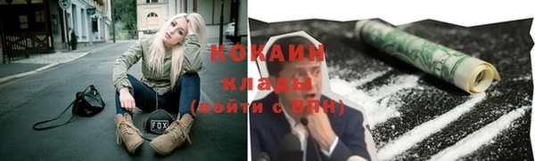 кокс Белокуриха