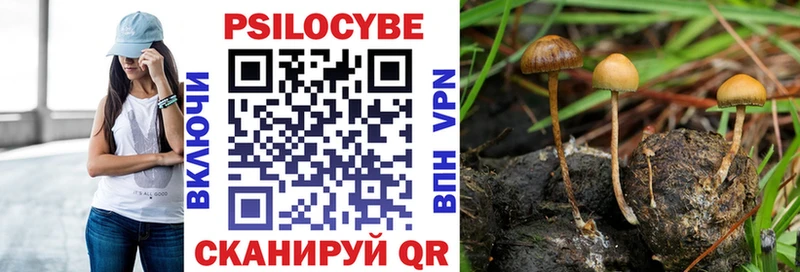 купить  сайты  Междуреченск  Псилоцибиновые грибы Magic Shrooms 